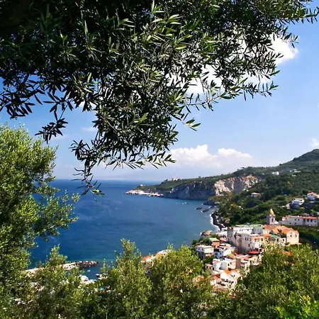 Il Piccolo Nocelleto Tatil Evi